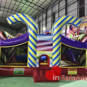 Carnival bounce house