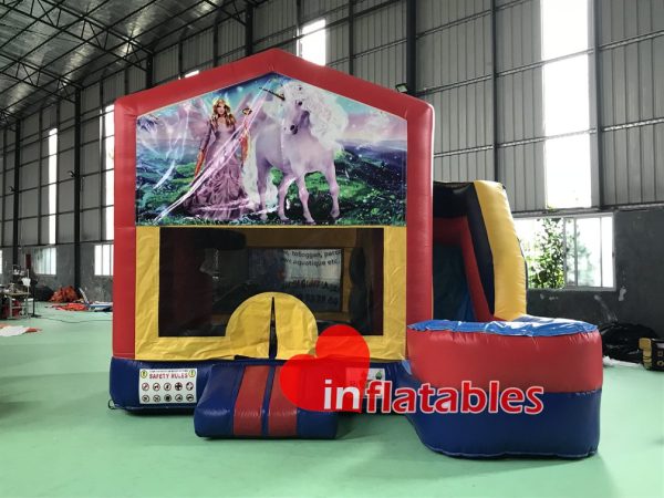 Bouncer Slide