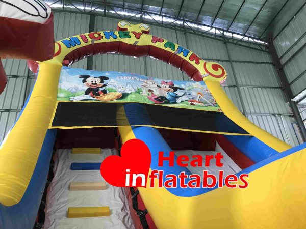 16ft Micky Slide