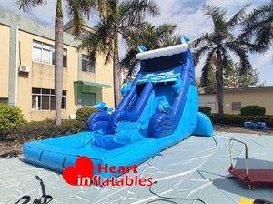 16ft Single Lane Dolphin Water Slide