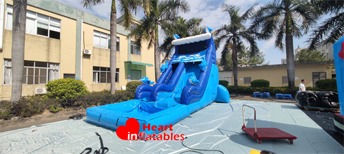 16ft Single Lane Dolphin Water Slide